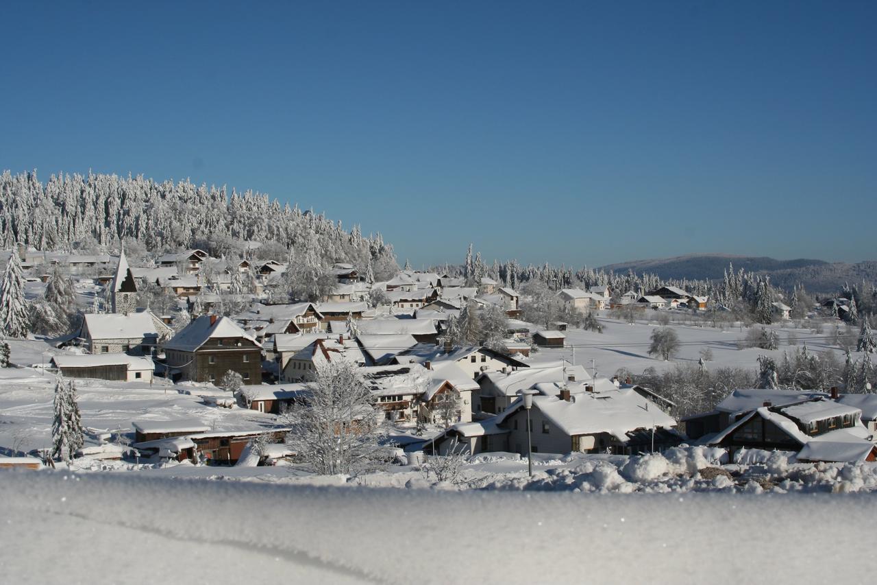 Pension Philippsreut "Zum Pfenniggeiger" Am Goldsteigwanderweg エクステリア 写真